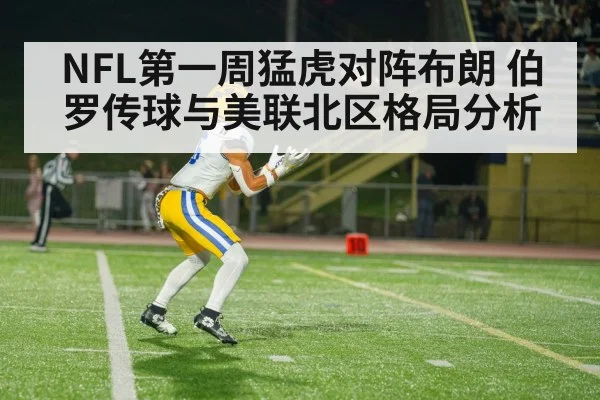 american football wide receiver catch